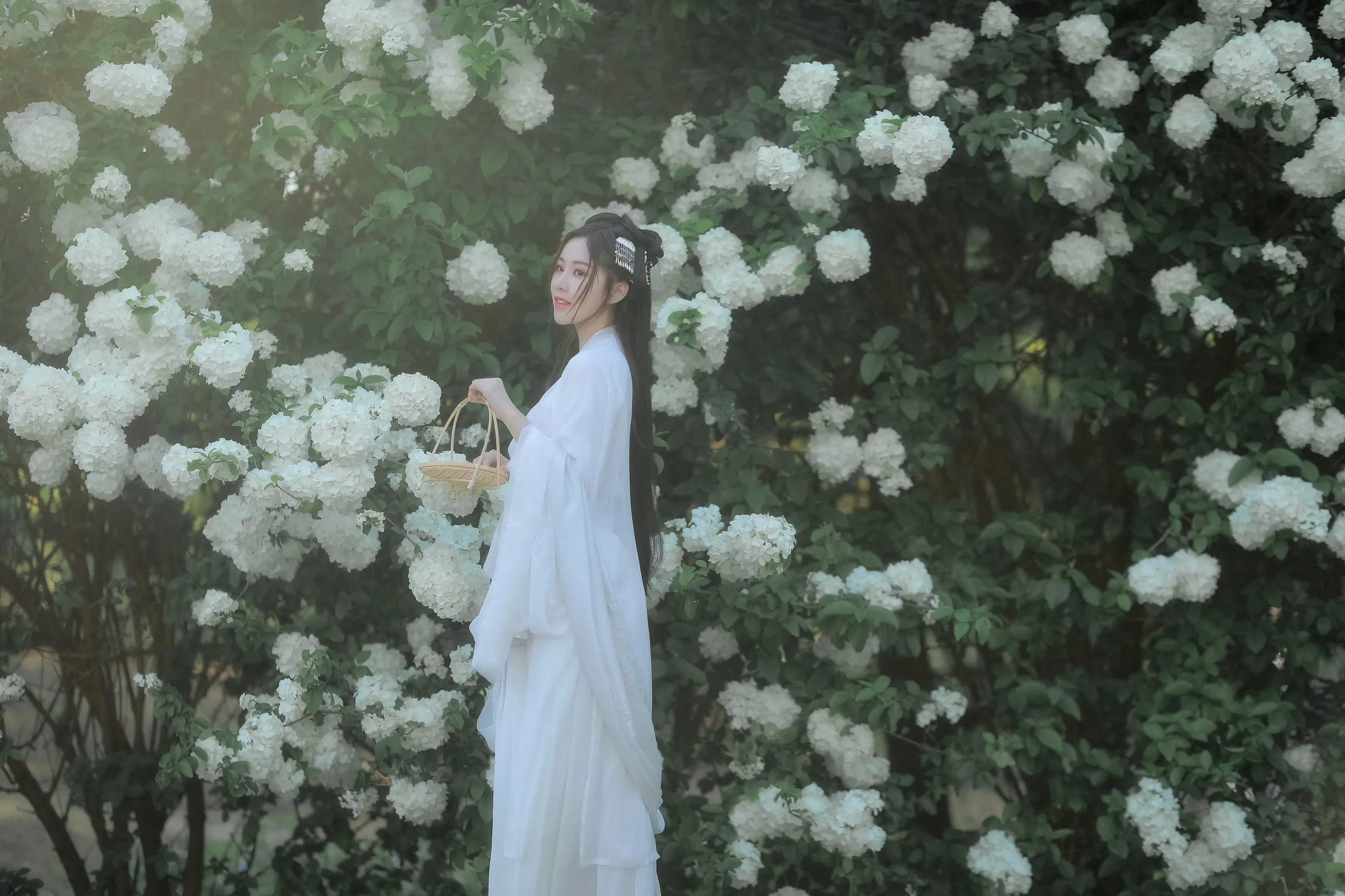 [艺图语] 2022.05.20 紫荆花开 若希icy [23P]插图
